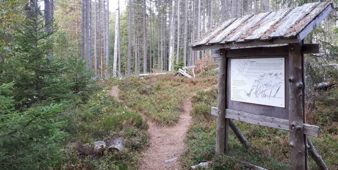 Opastekyltti Kieriniemellä Ähtärissä. Polku johdattaa metsään.