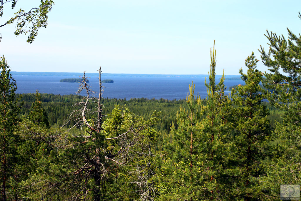 Lappajärvi kuvattuna Pyhävuoren päältä.