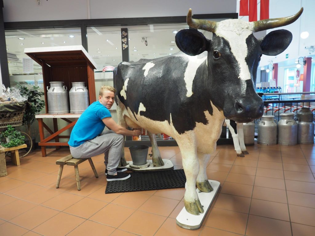 Isebella lehmä patsasta voi lypsää Jalasjärven Juustoportilla.