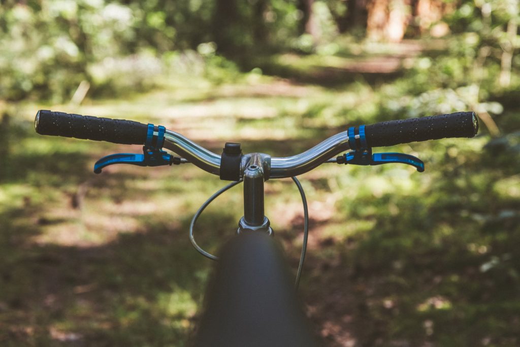 polkupyörän sarvet metsässä.