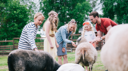 Perhe rapsuttaa lampaita Wanhalla Markilla Ylistarossa.